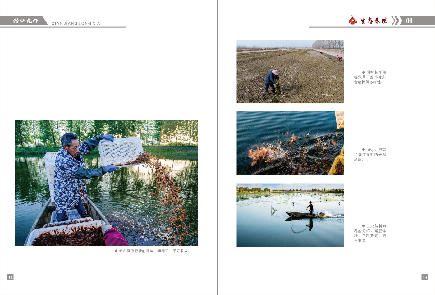 對稿圖0427_頁面_10