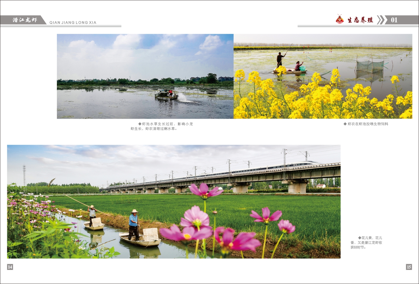 對稿圖0427_頁面_11