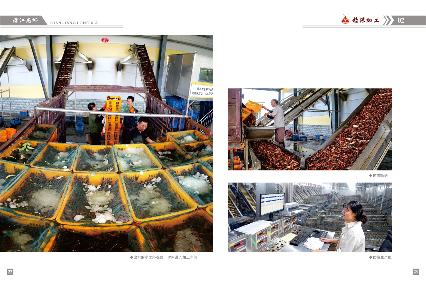 對稿圖0427_頁面_15