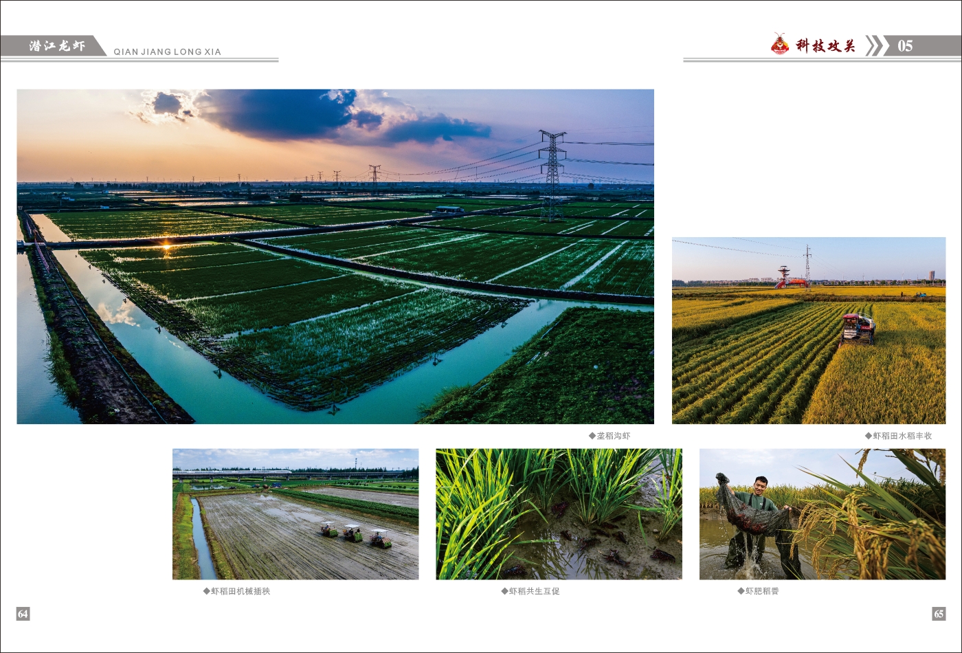 對稿圖0427_頁面_36