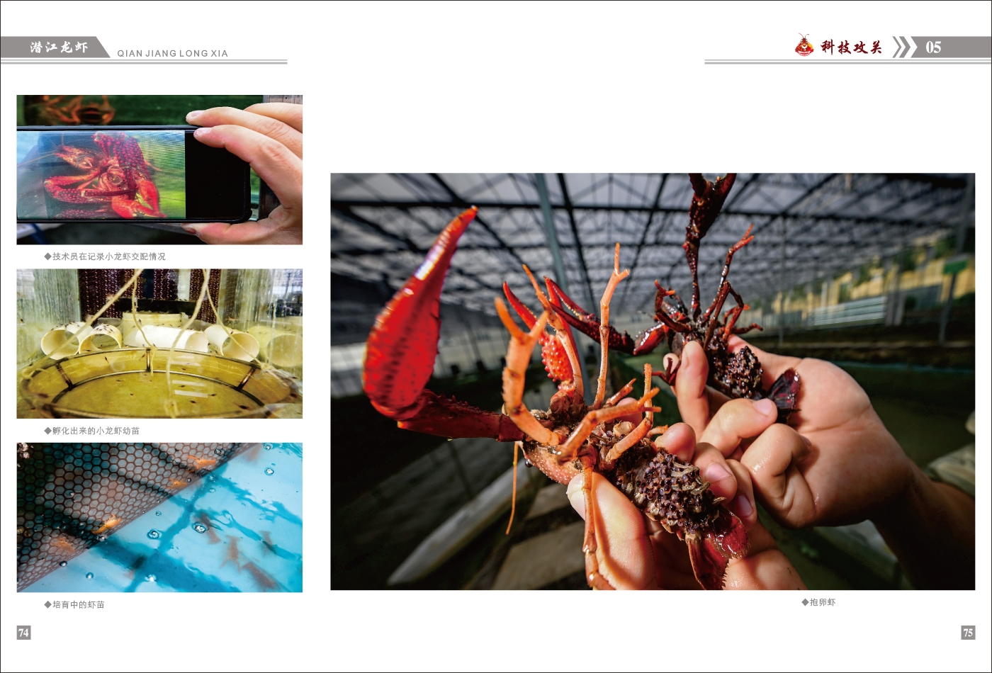 對稿圖0427_頁面_41